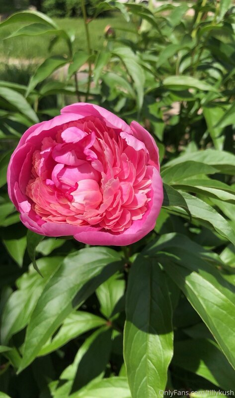 Thinking about springtime 
(Photos taken by me)
