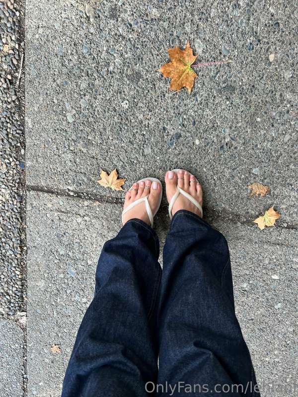 Leaves are starting to fall and it makes me a little sad 🥹 b.. 4