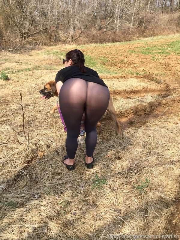 20 more pictures from the dog walk through the neighborhood... 19