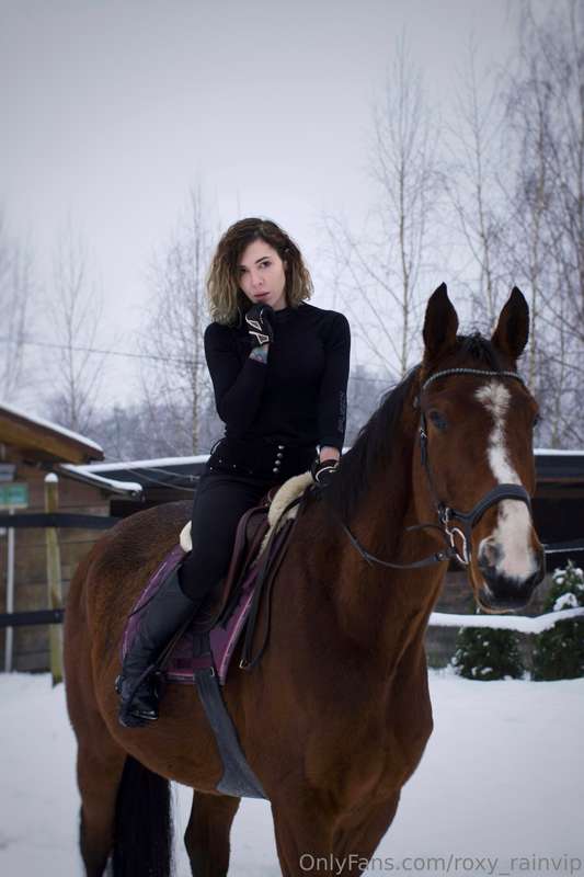 ❄️My main achievement in life is riding and my Belgian stall..