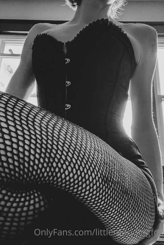 Oh wow!! 🤩 logged on after a busy weekend to see that I’ve h..