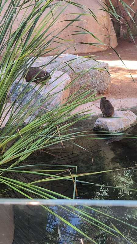 To proof I *DID* go to the zoo hahahaha.   Now, there's some.. 2
