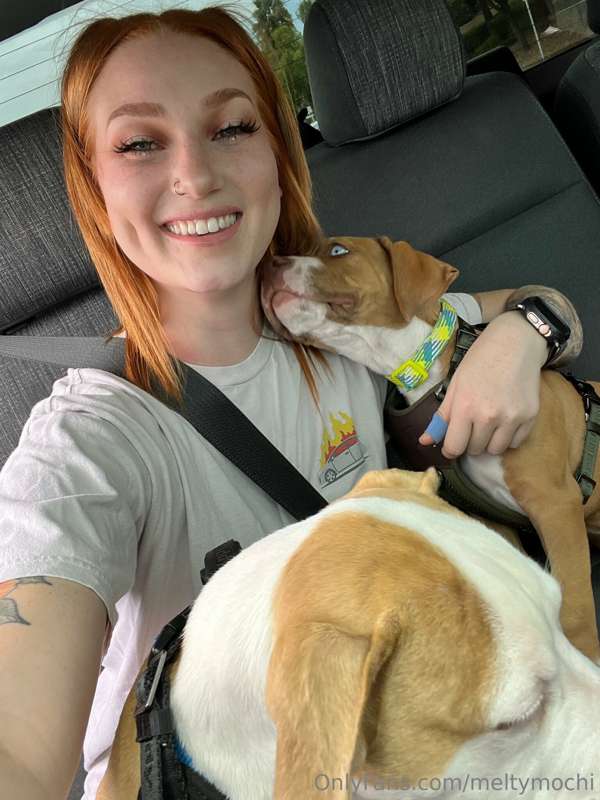 So I’ve been fostering two cute little puppies, trying to fi.. 5