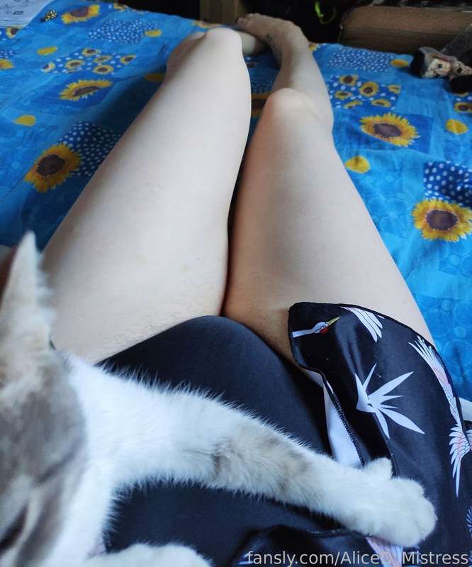 Aliced_Mistress - Fansly - 20 Aug, 2023