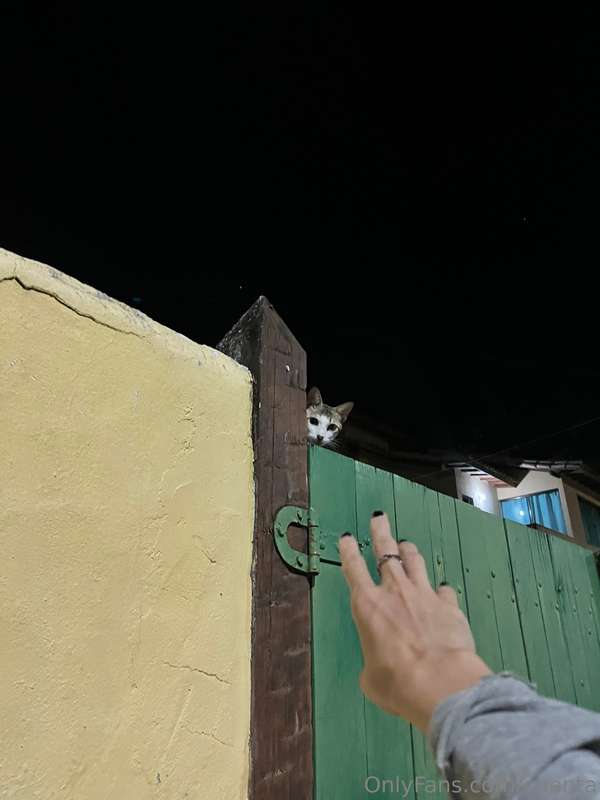 adivinen donde estoy en la última foto 1