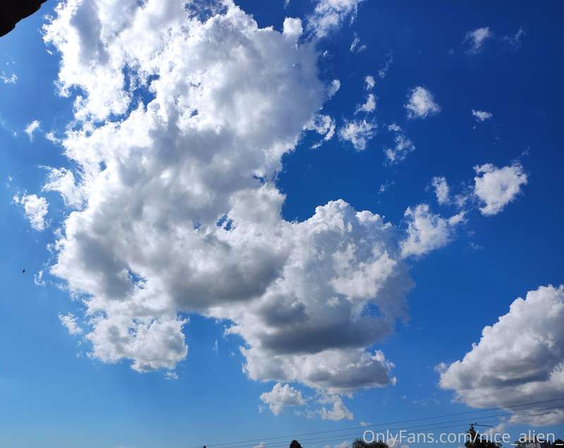 Nice day