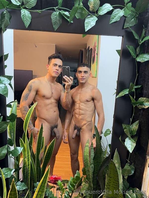 Quieres ver lo que paso?
