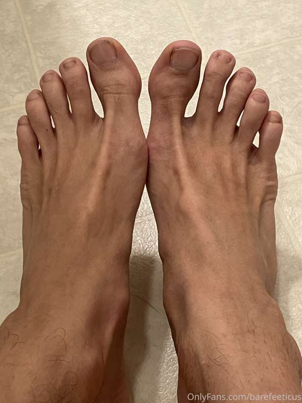 Wednesday toes.