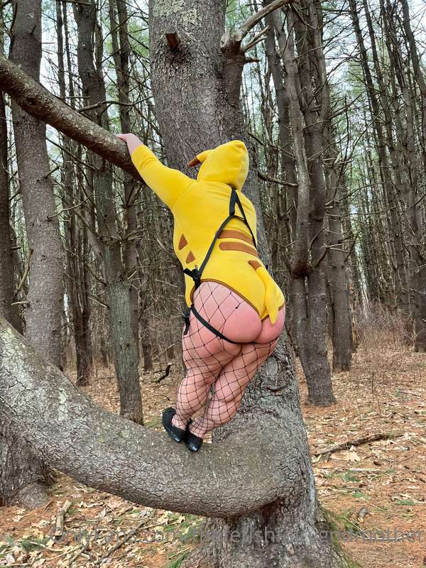 Peggachu!!! In the wild being feral!! 26