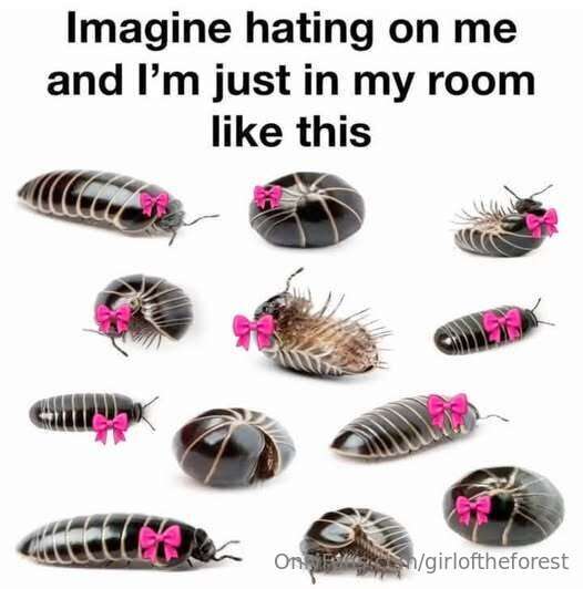 ah me 1