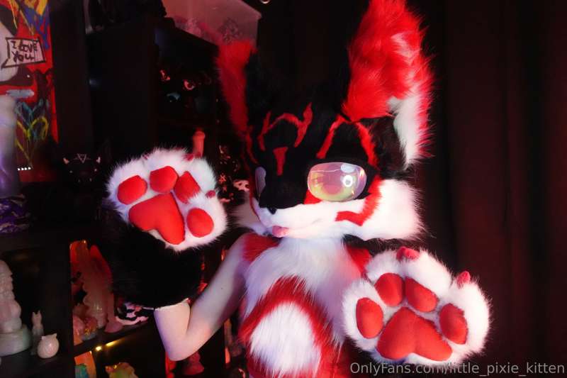 Partial Fursuit takeover today! This is Koji 🐾

I was going .. 3