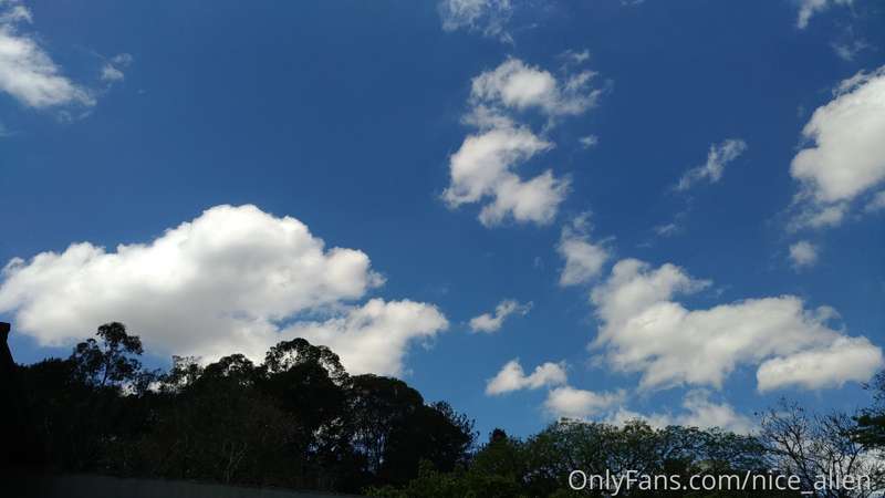 Cotton Candy 2