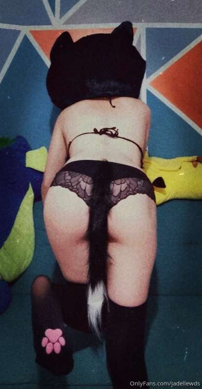 Meow 😻 1