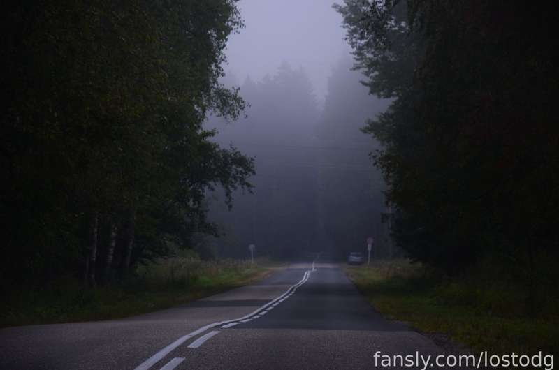 Lostodg - Fansly - 14 Aug, 2024 2