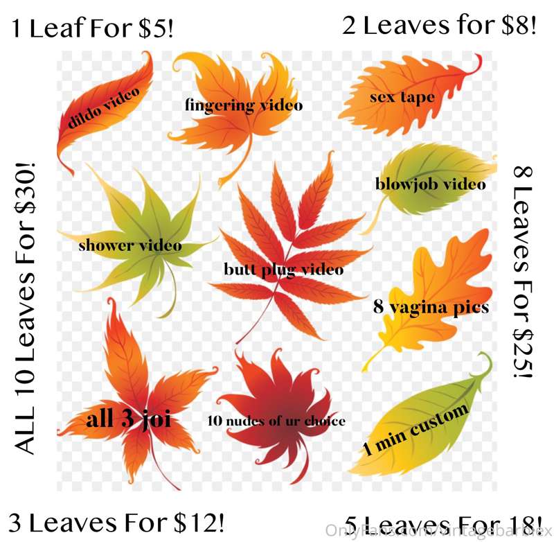 Now through September 21, EVERYTHING is on sale! Plus I’m in.. 1