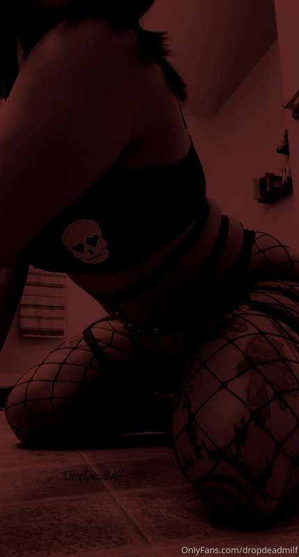 Grab my harness & fuck my tight ass hole