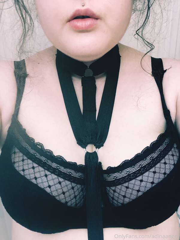 new cute harness from @notthydaddy 🤍 3