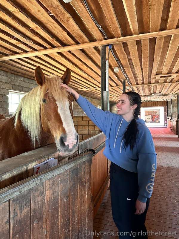 My friends, horses! I absolutely adore horses, even though l.. 5