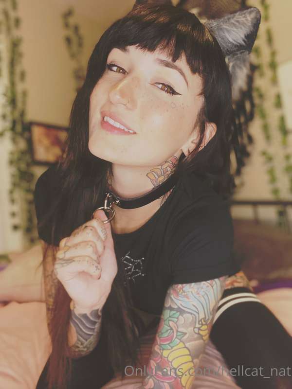 🖤 Emo Cat Girl Noodz 🐈‍⬛ which pic is your favorite? hope yo.. 8