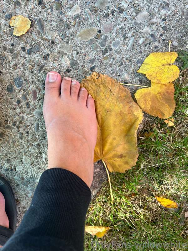 went for a walk, this is for the feet guys xo 😘 11