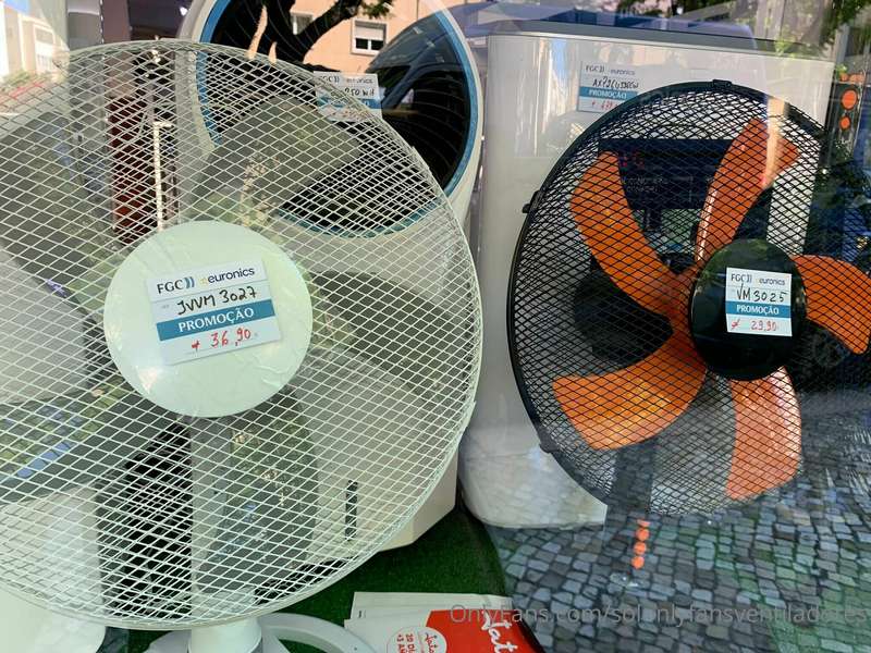 🦕​☘️️​🌿​🔁 New language post, this time, how to transalte fan..