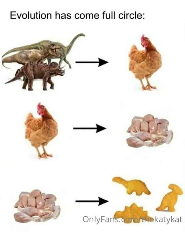 Memes!! (6 memes) 3