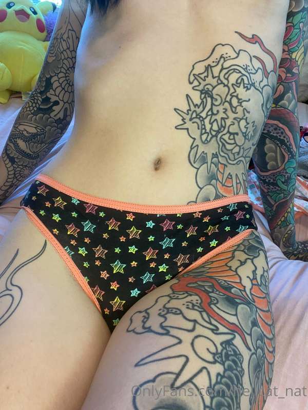 Cotton Panty Haul 🦄 Which pair is your fave?  I have an obse.. 12
