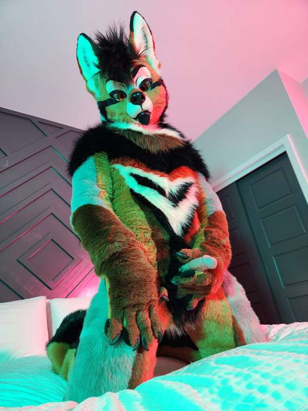 Yote ready for some play time 🐶💦   Come join?   He definitel..