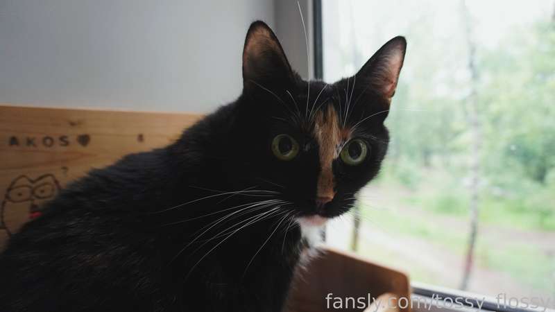 Tossy_Flossy - Fansly - 09 Jun, 2023 2