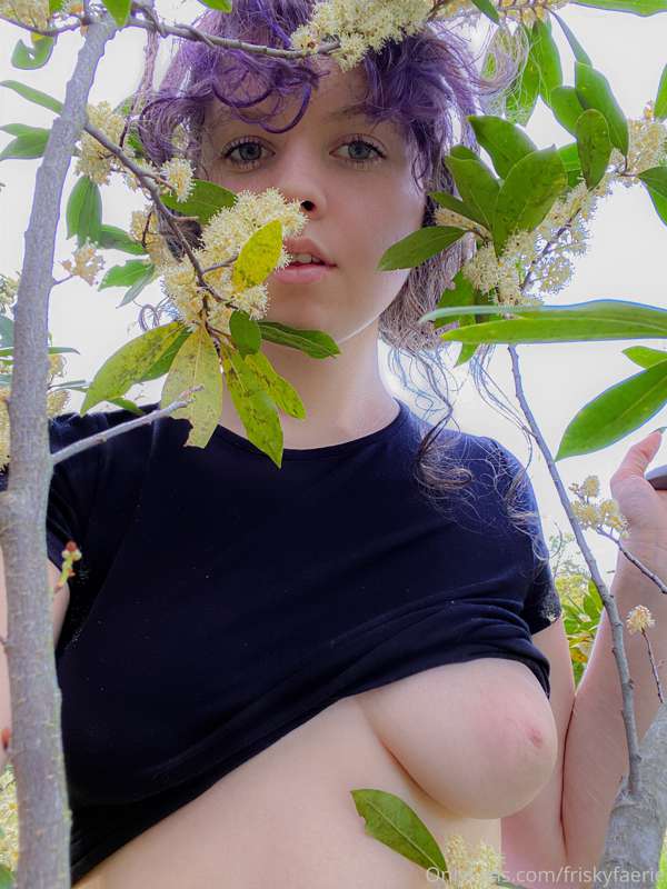 Doing fairy things (in my backyard)