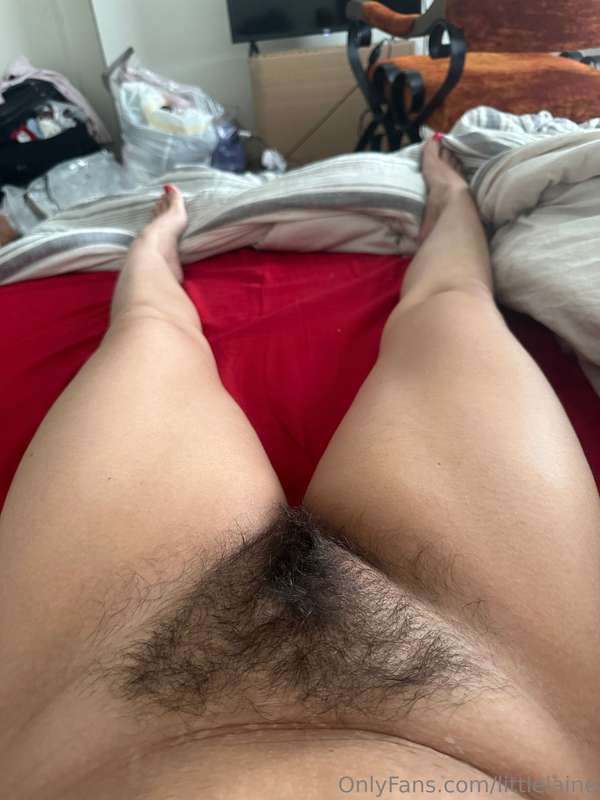 Showing off my hairy pussy :) 