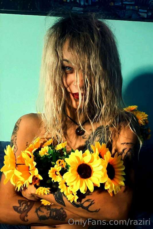 🌻🌻🌻