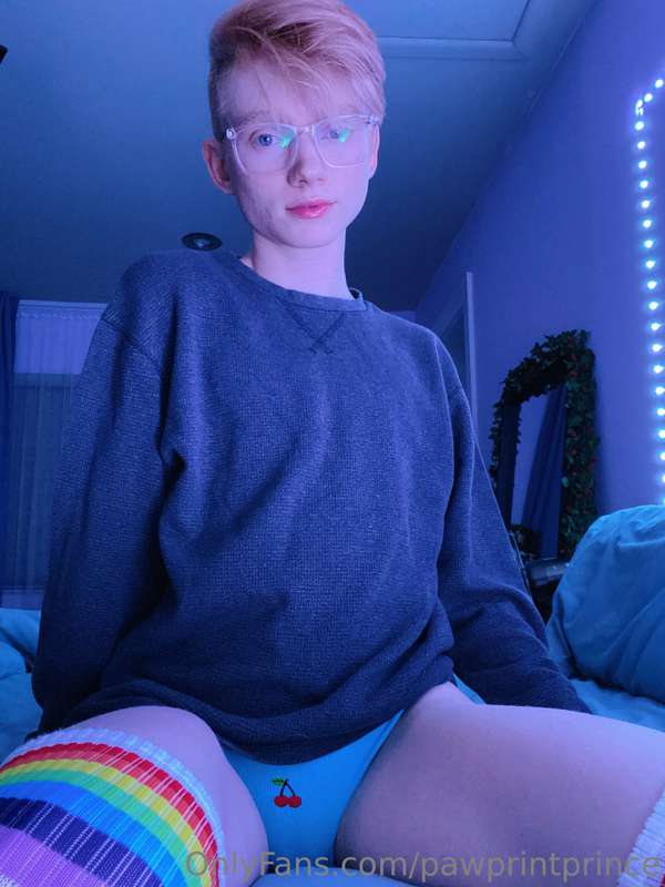 Pawprintprince - Onlyfans - 20 Dec, 2022 3