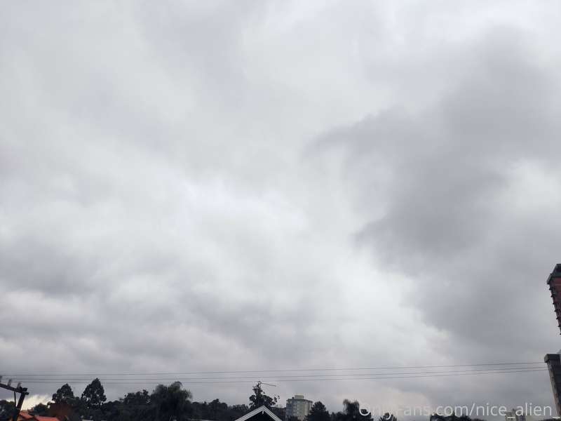 Gray day