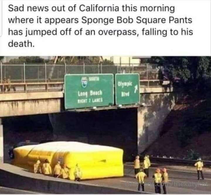 Memes! 3