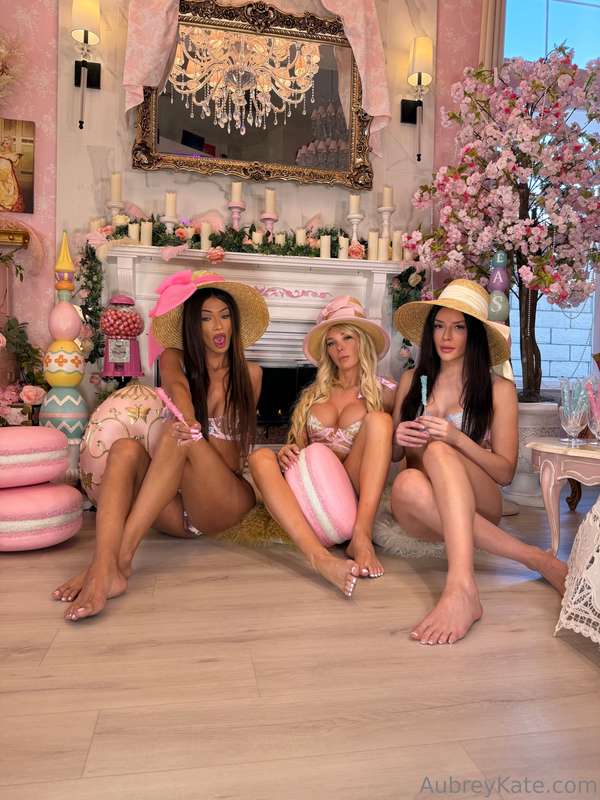 Would you let us handle your eggs?🐰 🥰