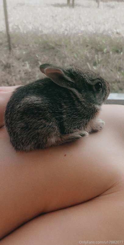 Since you guys are asking... Timothy (can't tell if it's a b.. 4