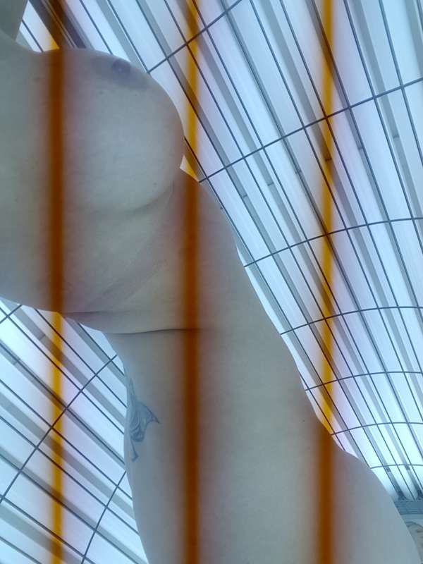 A sneaky peek inside the sunbed today 🌞 4