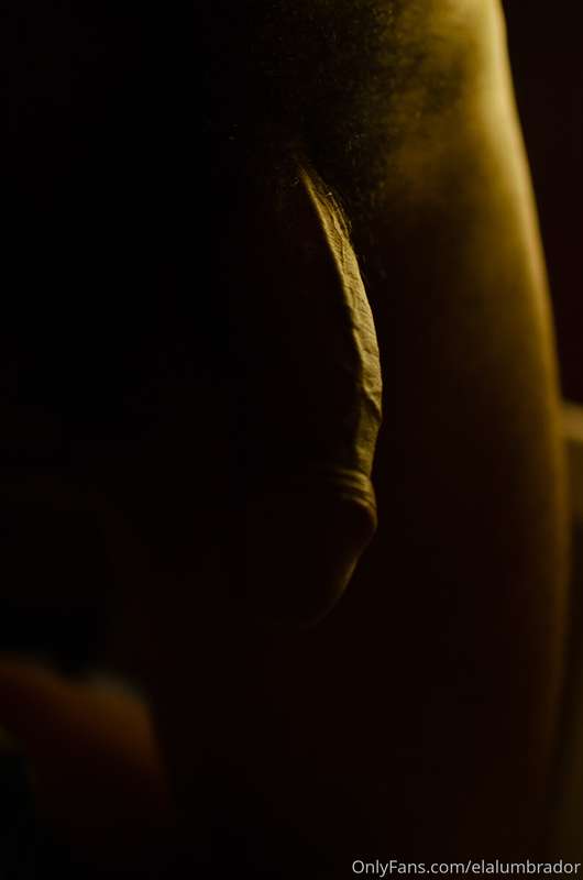 Photoshoot to this beautiful and gentle lover @vellotatuado .. 1