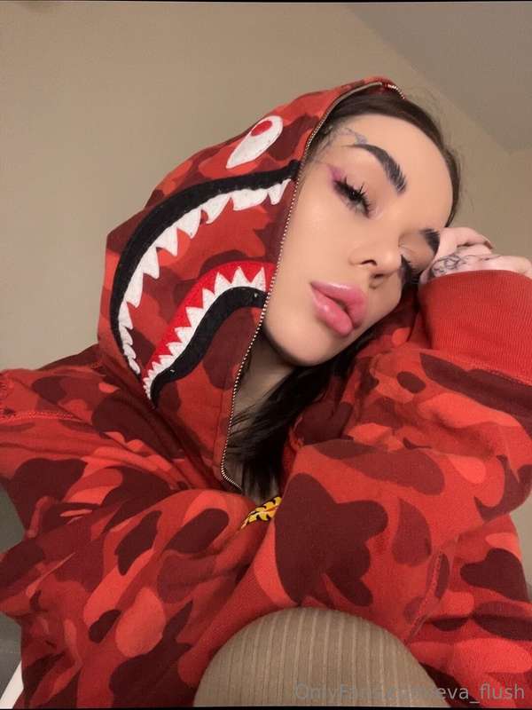 🦈🦈🦈