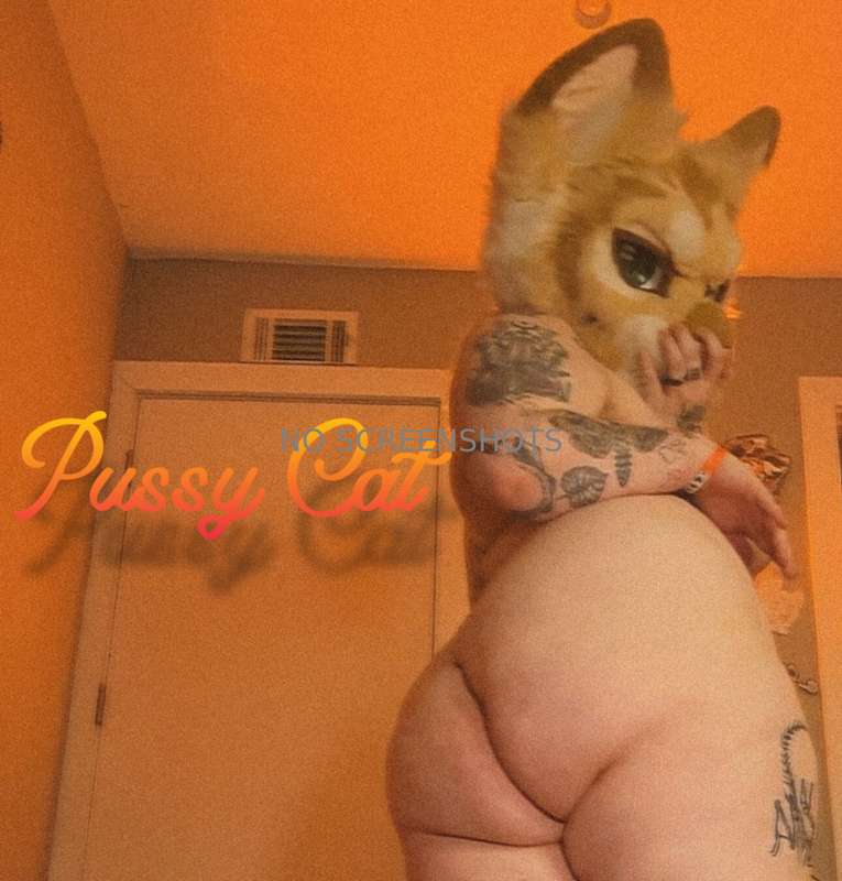 What a good pussy cat 🍑✨ 3