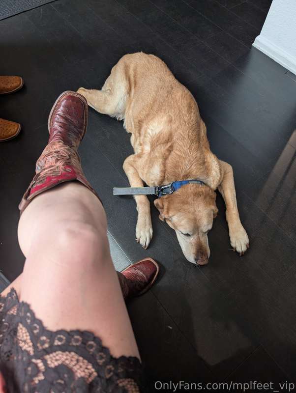 I love getting dressed up! Just a girl her dog and boots!!🥰🐶.. 1