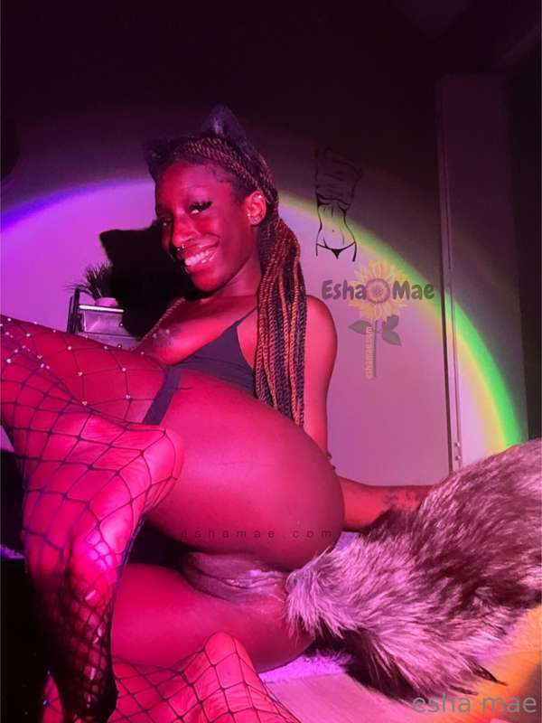naughty kitty mae 💋🐈‍⬛ 5