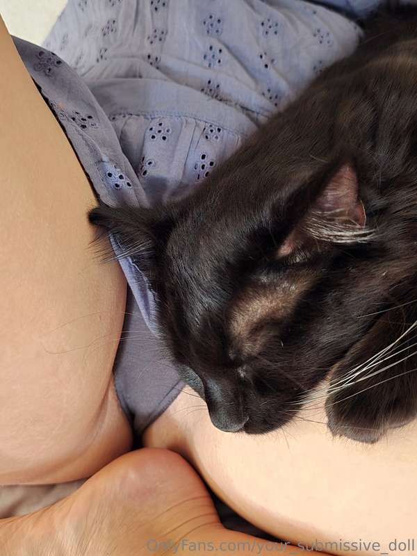 He's so happy, he must know how lucky he is 😄🐈‍⬛️💕 1