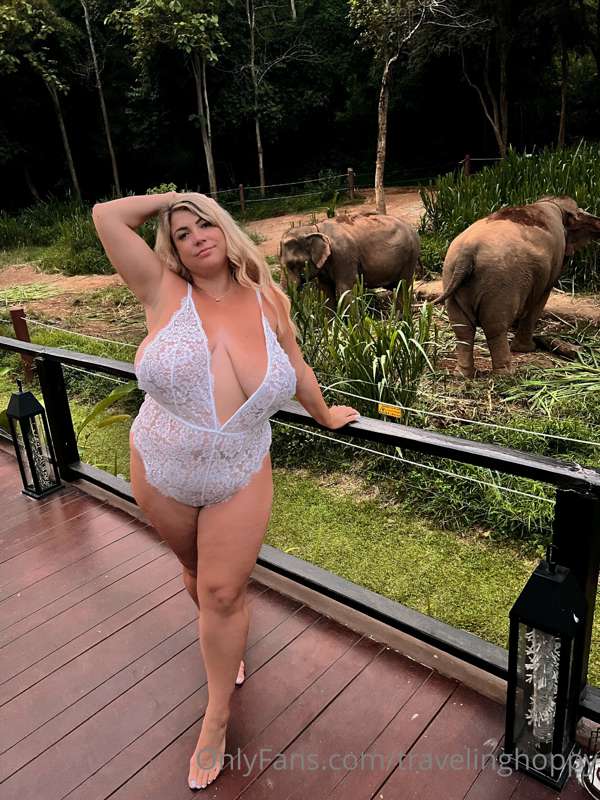 The elephants couldn’t care less 😆 5