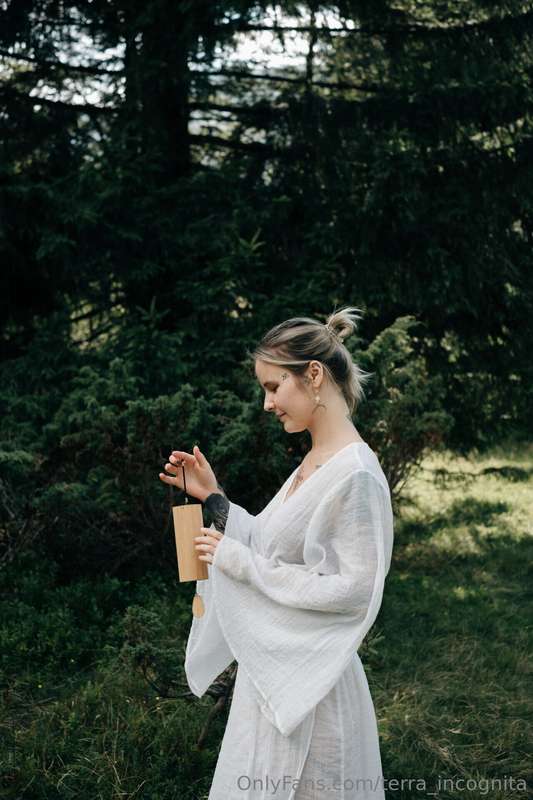 🌿 Secrets of the Forest 🌿 When the world gets too loud, natu..