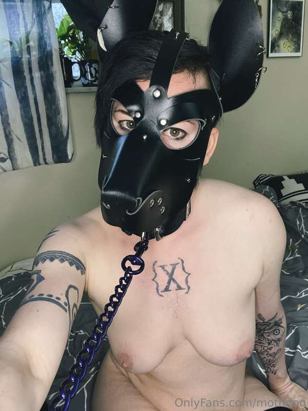 Would you mind holding my leash? 💕