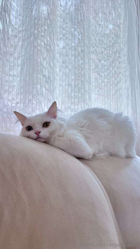 Sometimes I feel like she’s doing an evil plan to steal the ..