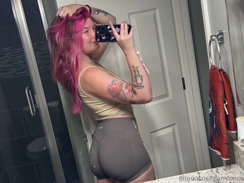 pump piccc  1