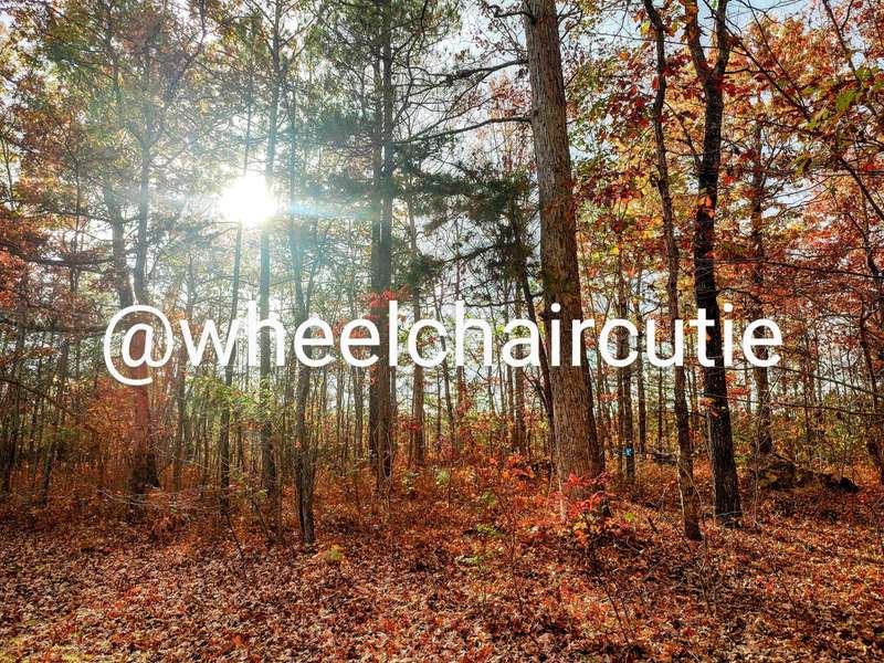 Wheelchaircutie - Fansly - 21 Nov, 2022 9